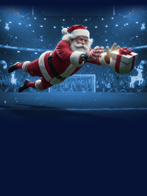 BOXING FOOTBALL SAFETY NET