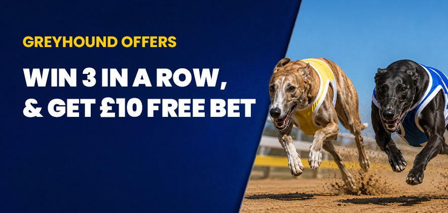 bet builder