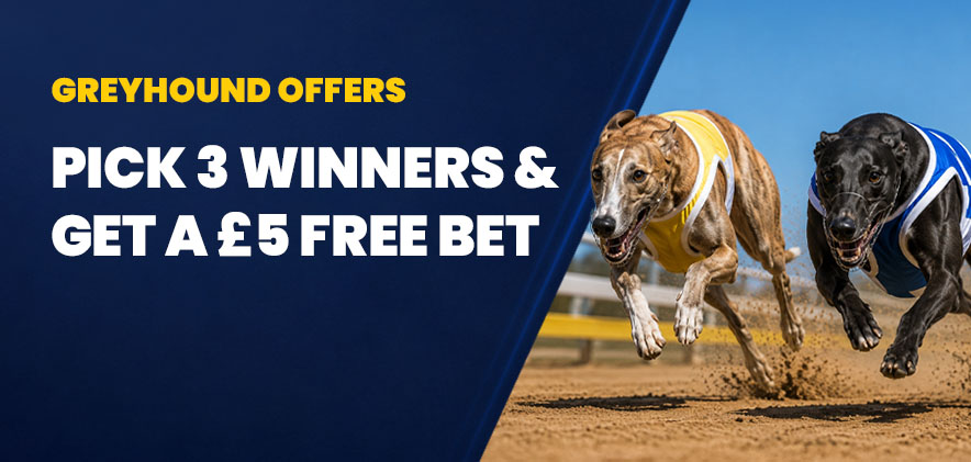 bet builder